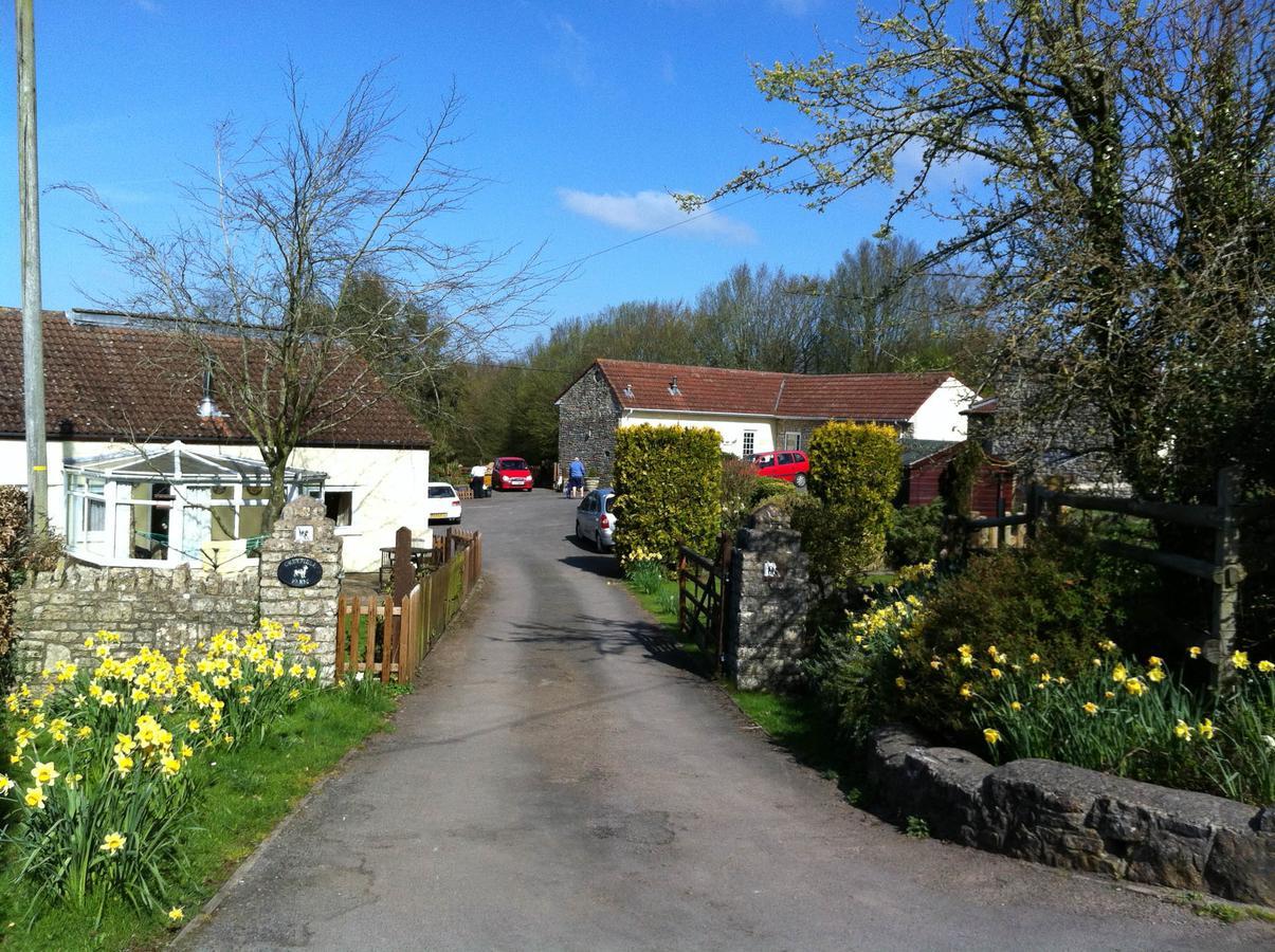 Greyfield Farm Cottages Farmborough Exterior photo