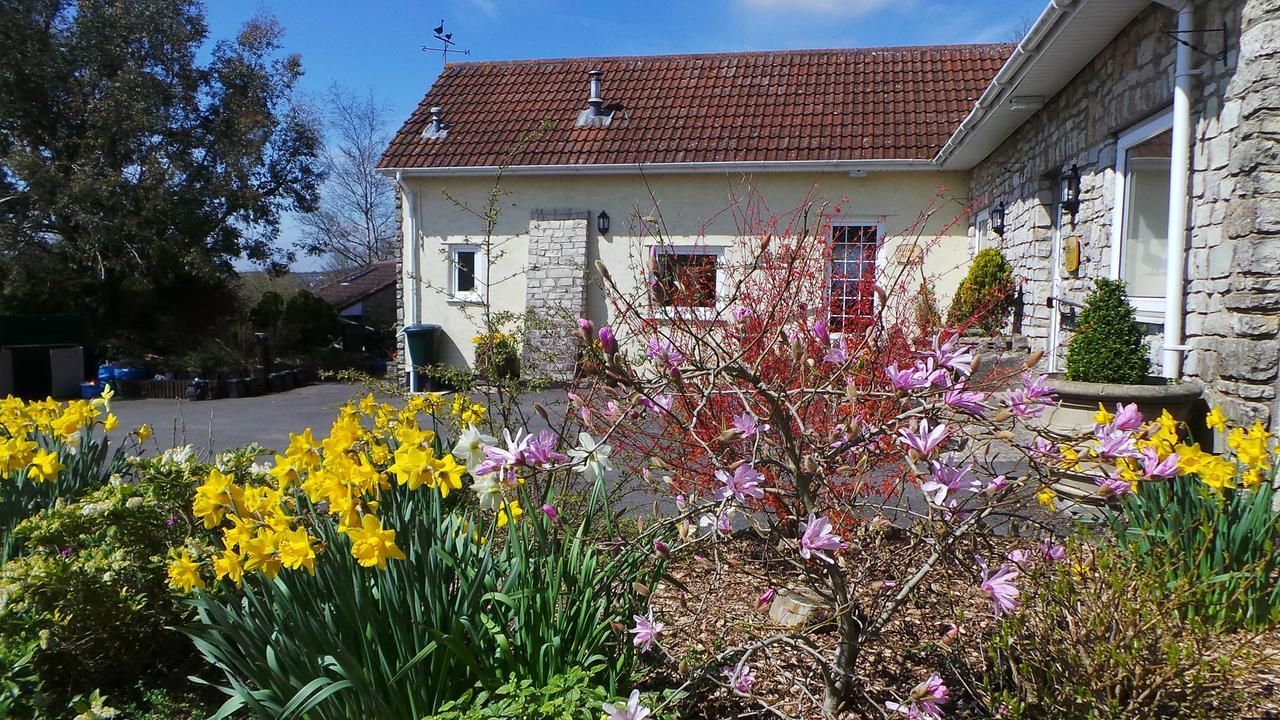 Greyfield Farm Cottages Farmborough Exterior photo